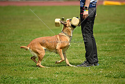 Xyoda vom Further Moor