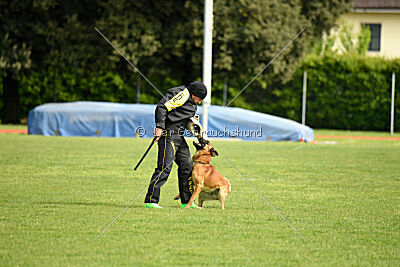 Y'Maximus vom Rheurdter Land