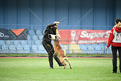 Y'Maximus vom Rheurdter Land