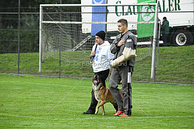 Yak vom Further Moor