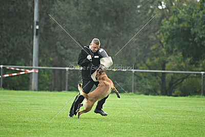 Yak vom Further Moor