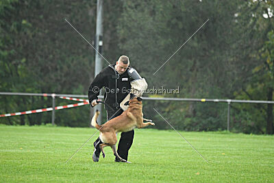 Yak vom Further Moor