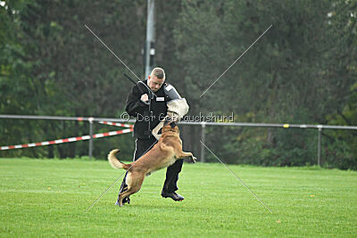 Yak vom Further Moor