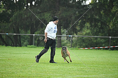 Yak vom Further Moor