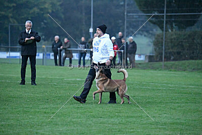 Yak vom Further Moor