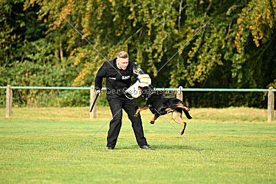 Yakima vom Hause Neubrand