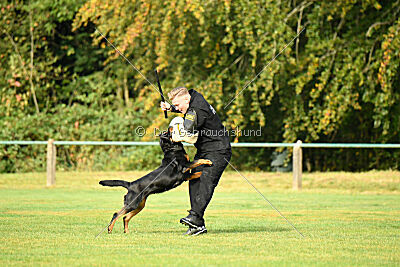 Yakima vom Hause Neubrand