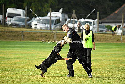 Yakima vom Hause Neubrand