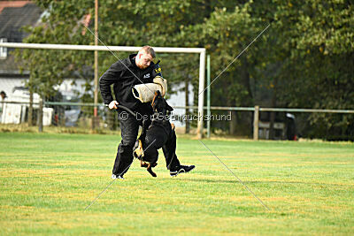 Yakima vom Hause Neubrand