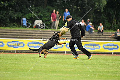 Yakima vom Hause Neubrand