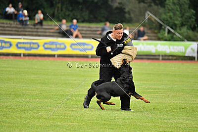 Yakima vom Hause Neubrand