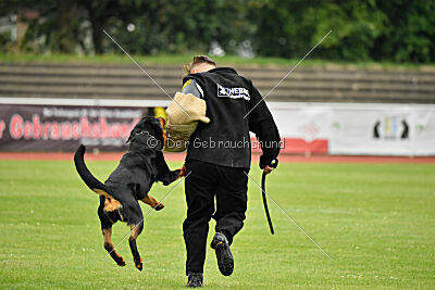 Yakima vom Hause Neubrand