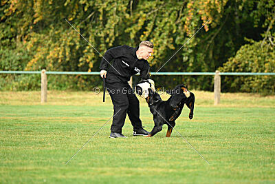 Yan von der Reuthwiese