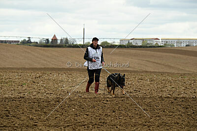 Yaro von Lindesfarne