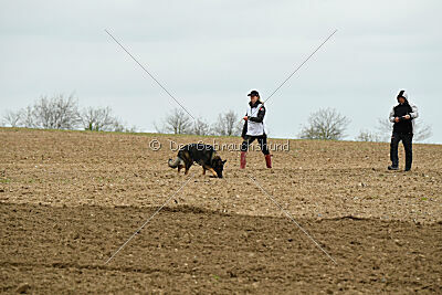 Yaro von Lindesfarne