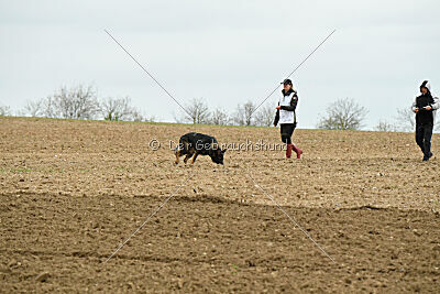 Yaro von Lindesfarne