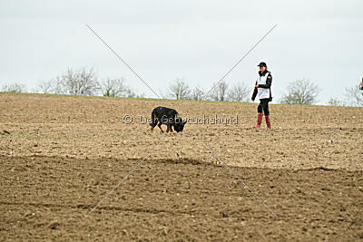 Yaro von Lindesfarne