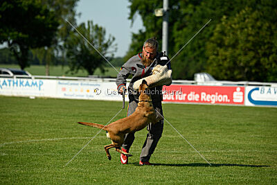 Yes of Course von der Steinteichmühle