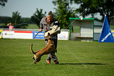 Yes of Course von der Steinteichmühle