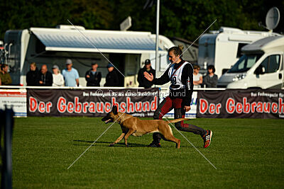 Yes of Course von der Steinteichmühle