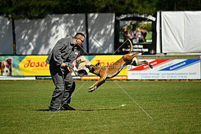 Yes of course von der Steinteichmühle