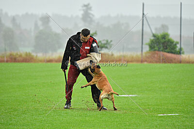 Yes of course von der Steinteichmühle