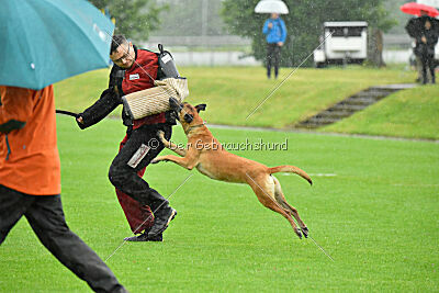 Yes of course von der Steinteichmühle
