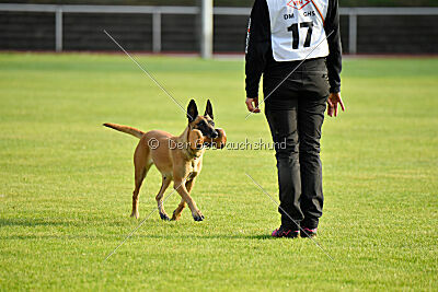 Yes of course von der Steinteichmühle