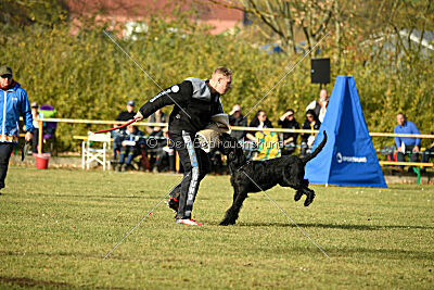 Yukon vom Gutspark