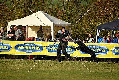 Yukon vom Gutspark