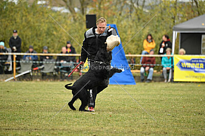 Yukon von der Schönburg