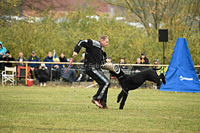 Yukon von der Schönburg