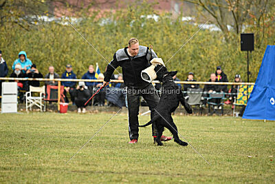 Yukon von der Schönburg