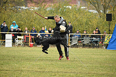 Yukon von der Schönburg