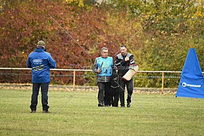 Yukon von der Schönburg