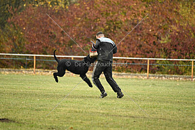 Yukon von der Schönburg