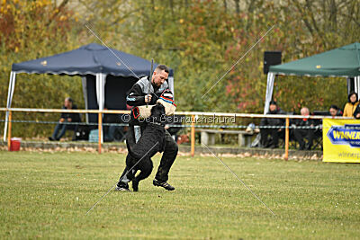 Yukon von der Schönburg