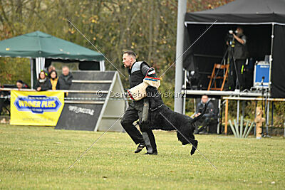 Yukon von der Schönburg