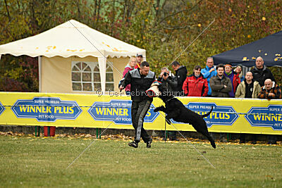 Yukon von der Schönburg