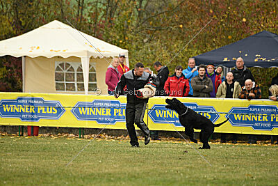 Yukon von der Schönburg