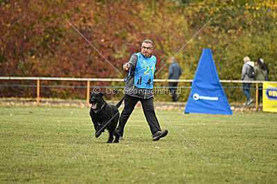 Yukon von der Schönburg