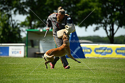 Yuma Airport Hannover