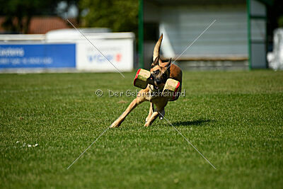 Yuma Airport Hannover