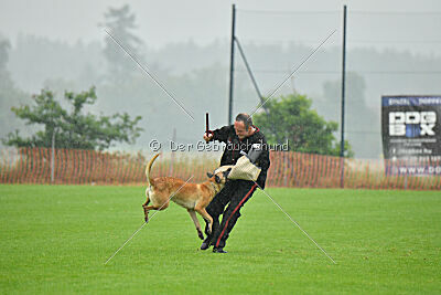 Yuma Airport Hannover
