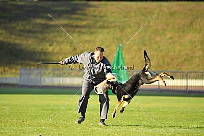 Yuno-one von der Prinzenbrücke