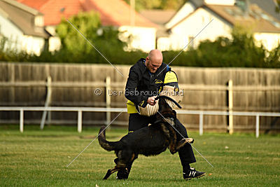 Yustav Wilhelm vom Gleisdreieck 