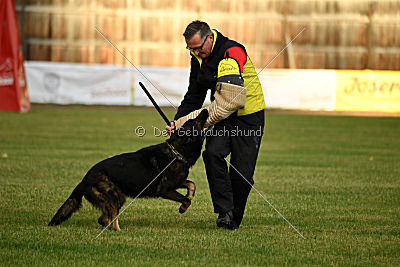 Yustav Wilhelm vom Gleisdreieck 