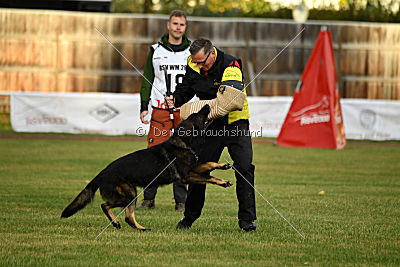 Yustav Wilhelm vom Gleisdreieck 