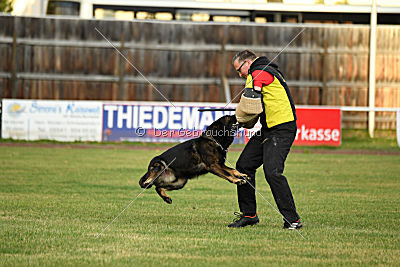 Yustav Wilhelm vom Gleisdreieck 