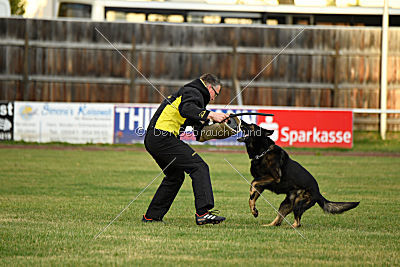 Yustav Wilhelm vom Gleisdreieck 